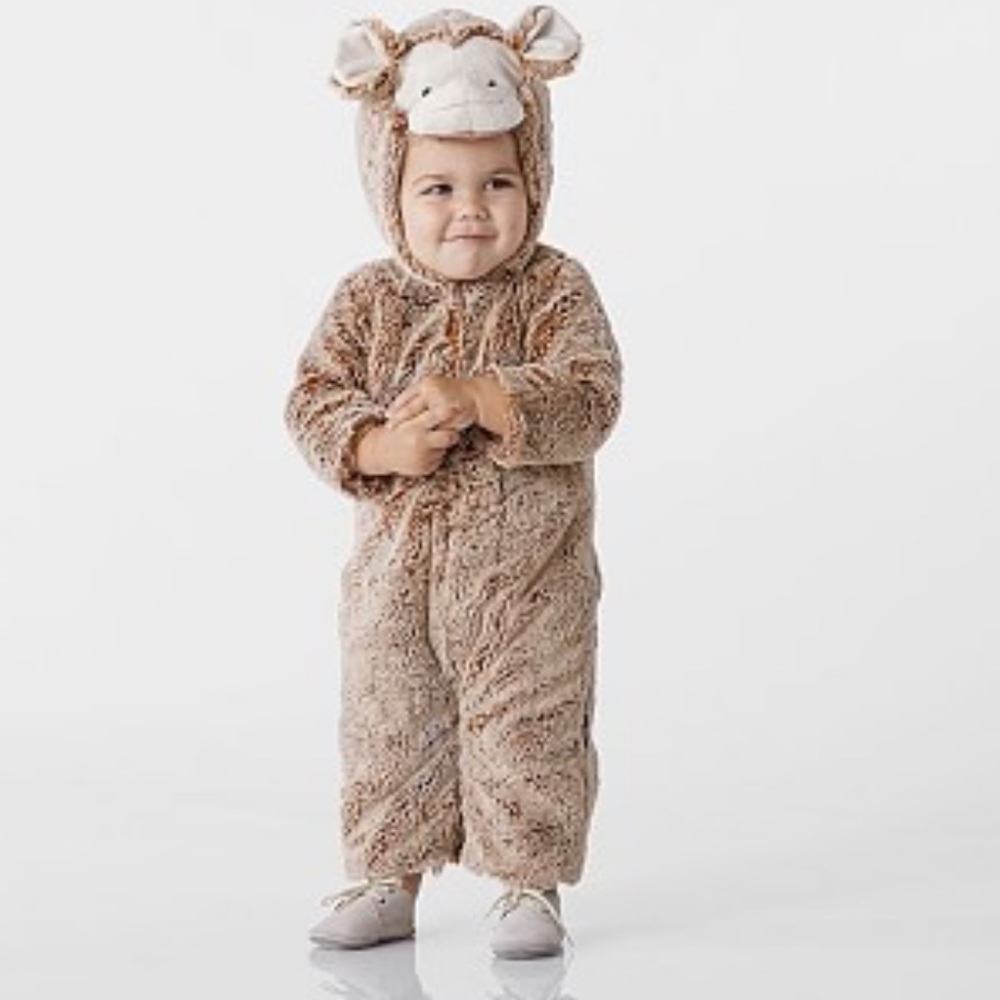 monkey costume